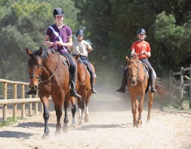 Aventure Equestre sur l Ile de Re